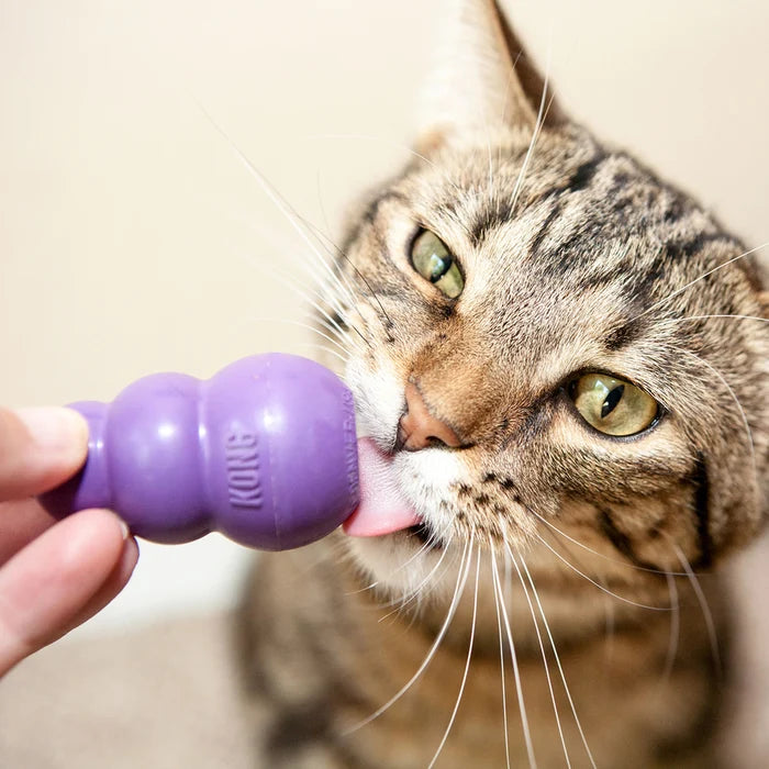 KONG® Kitty KONG® Cat Toy