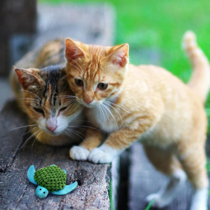 KONG® Refillables Turtle CatToy
