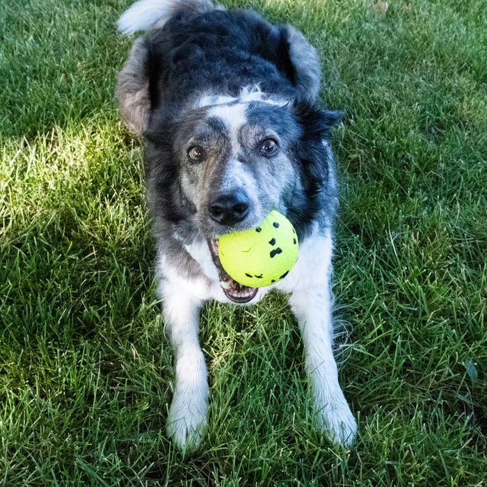 KONG® Reflex Ball Dog Fetch Toy Large