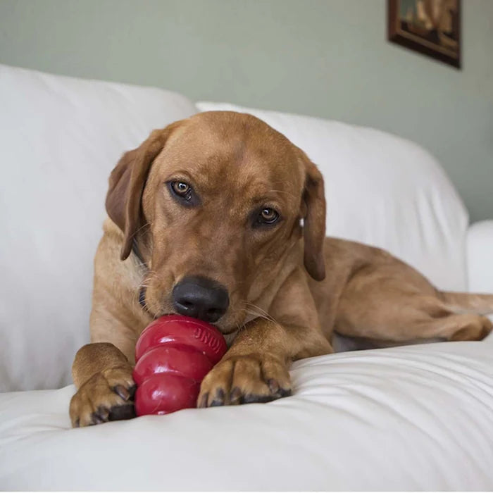 KONG® Snacks® Liver Small