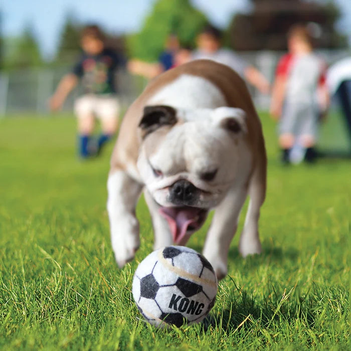 KONG® Sport® Balls Dog Fetch Toy Assorted Medium