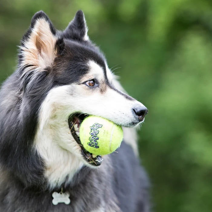 KONG® SqueakAir® Balls Dog Fetch Toy Large