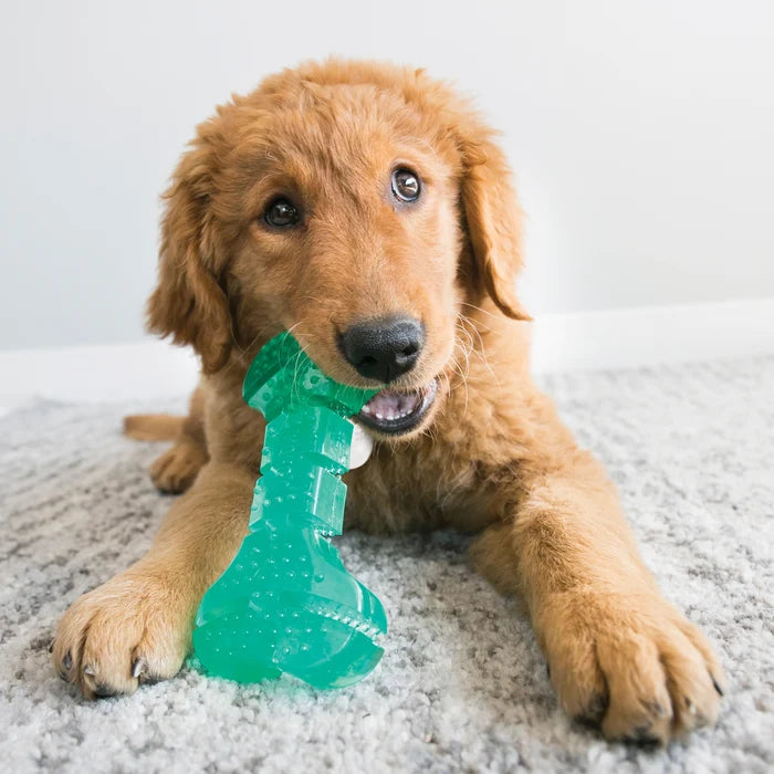 KONG® Squeezz® Dental Stick Dog Chew Toy Medium