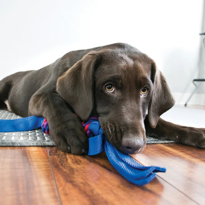 KONG® Tugga Wubba Dog Tug Toy Assorted Large