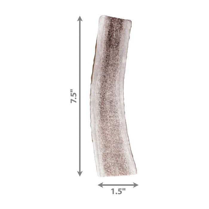KONG® Wild Antler Split Large