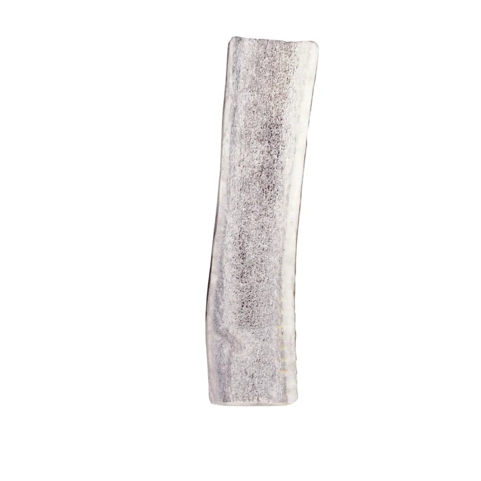 KONG® Wild Antler Split Medium