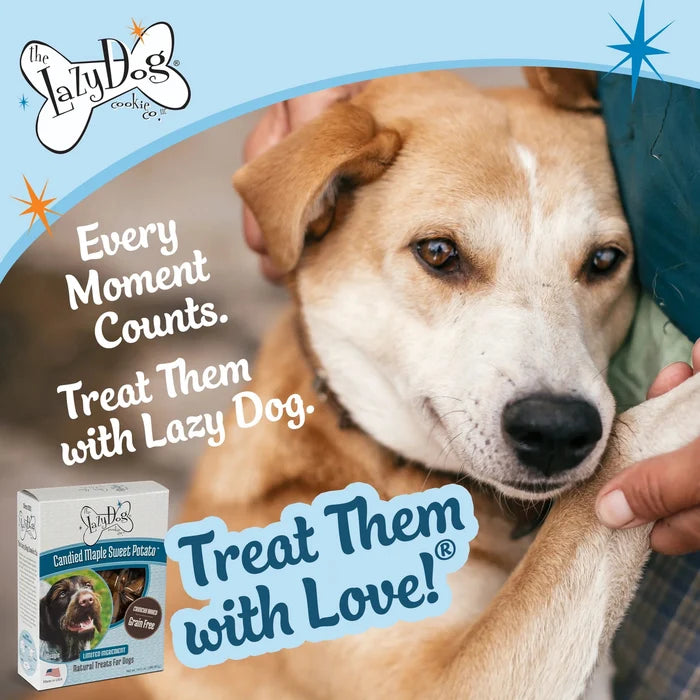 Lazy Dog Boxed Biscuits Candied Maple Sweet Potato GF 14 oz