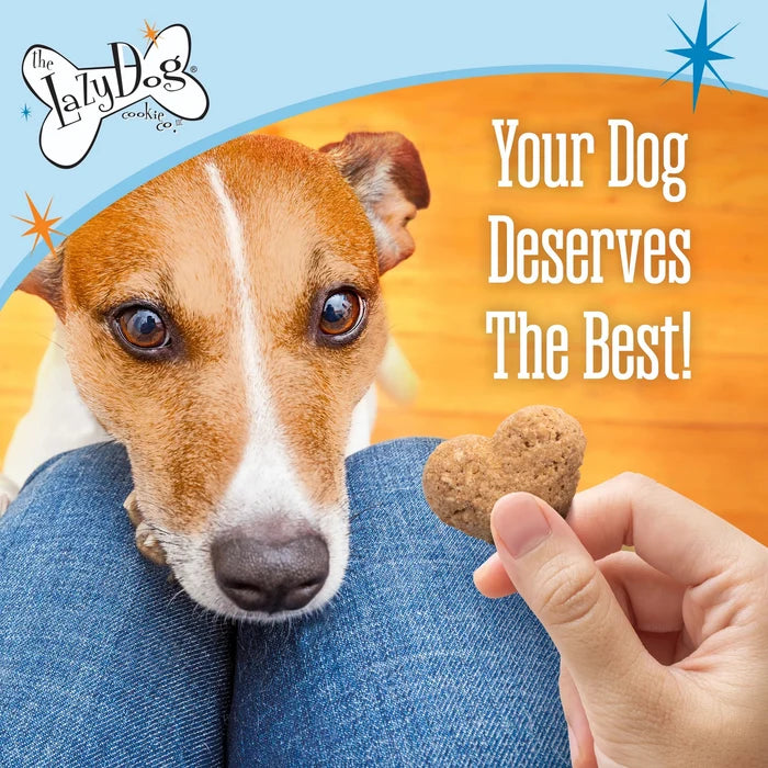 Lazy Dog Boxed Biscuits Toasted Vanilla Peanut Butter GF 14 oz