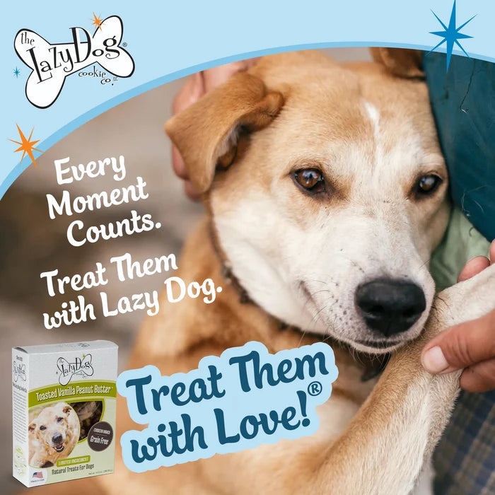 Lazy Dog Boxed Biscuits Toasted Vanilla Peanut Butter GF 14 oz