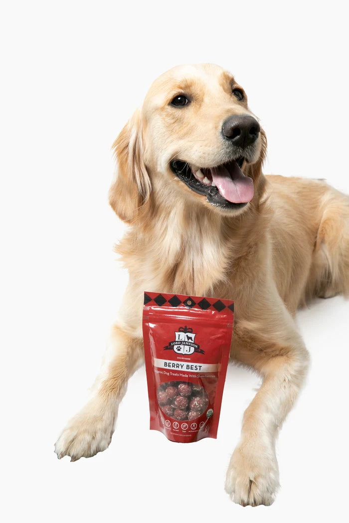 Lord Jameson Berry Best Organic Soft & Chewy Dog Treats 6oz