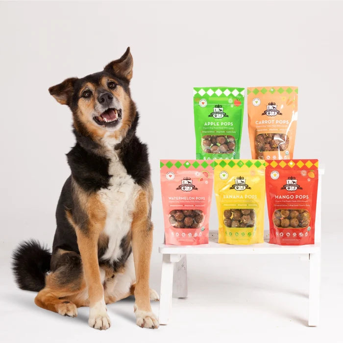 Lord Jameson Carrot Pops Organic Soft & Chewy Dog Treats 6oz