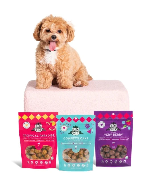Lord Jameson Confetti Cake Organic Soft & Chewy Dog Treats Small Breed 3oz