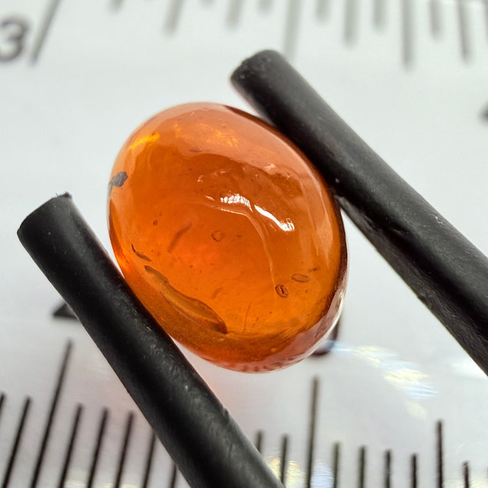 Mandarin Garnet Cabochon, Reddish Orange, 3.02ct, Tanzania, Untreated Unheated