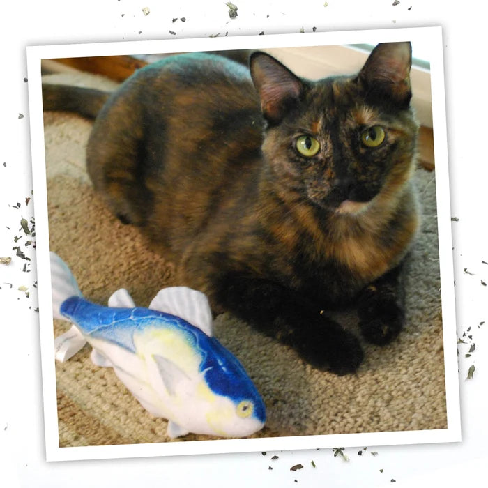 Meowijuana Get Hooked Kahuna Tuna Cat Toy