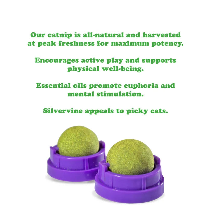 Meowijuana Purple Passion Stick 'n' Lick Compressed Catnip 2pk