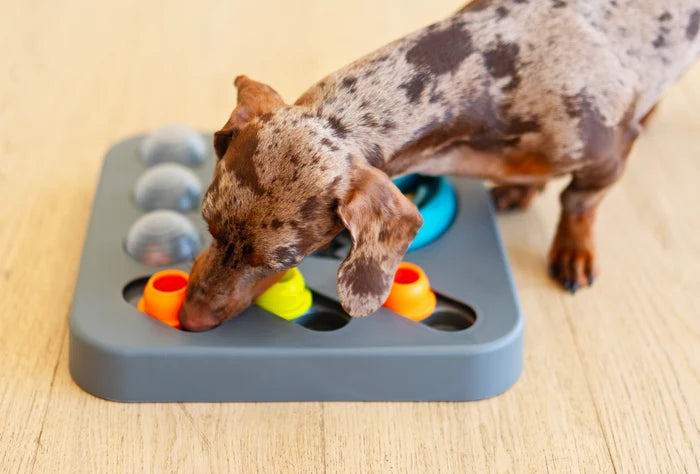 Messy Mutts Flip'n Slide Puzzler, Medium, 12.5" x 12.5", Grey