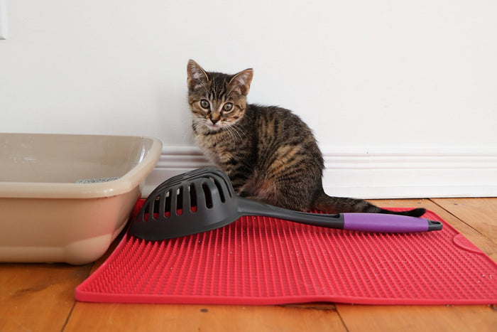 Messy Mutts Litter Scoop with Long Handle Extra Large