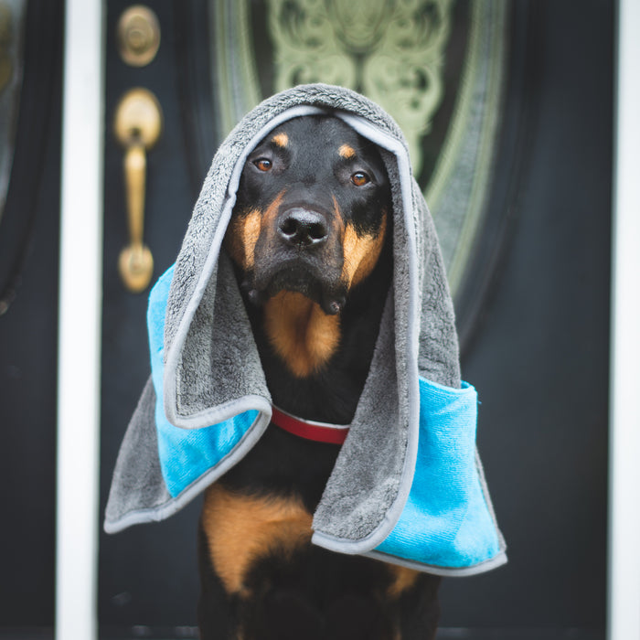 Messy Mutts Microfiber Towel Cool Grey Medium 20" x 32"