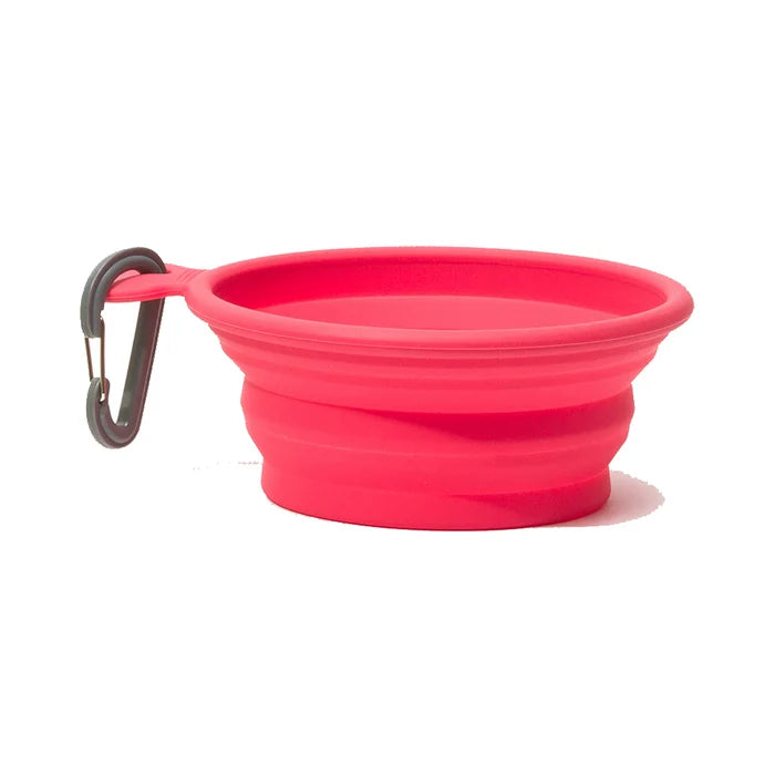 Messy Mutts Silicone Collapsible Bowl Watermelon Small