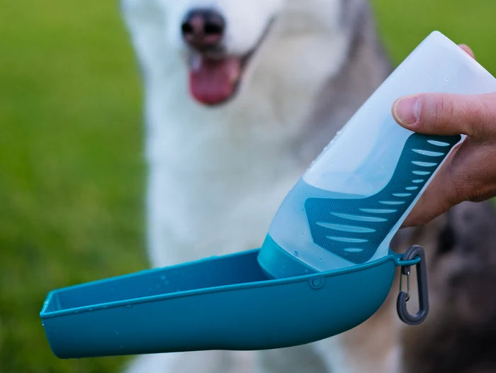 Messy Mutts Travel Water Bottle with Removable Bowl, 16oz / 500mL, Teal