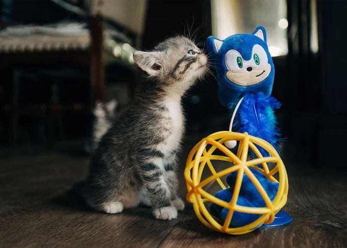 Multipet Sega Sonic On Spring Cat Toy