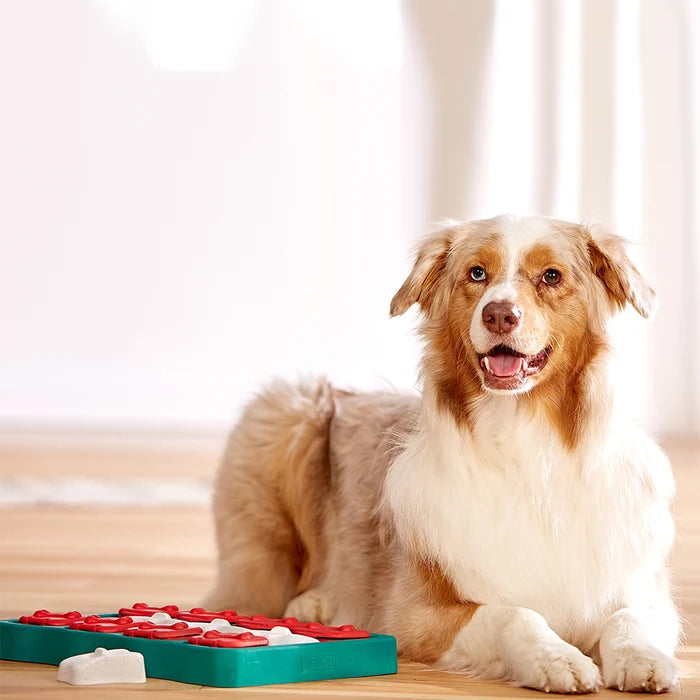 Nina Ottosson Dog Brick Interactive Treat Dog Puzzle Toy Blue Level 2