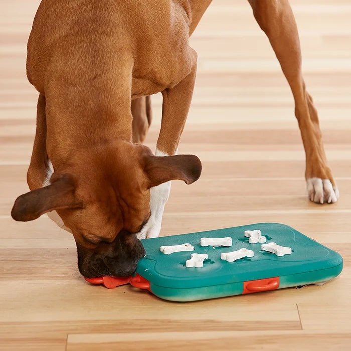 Nina Ottosson Dog Casino Interactive Treat Dog Puzzle Toy Turquoise Level 3
