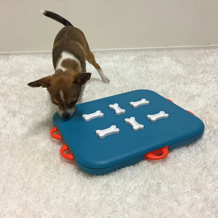 Nina Ottosson Dog Casino Interactive Treat Dog Puzzle Toy Turquoise Level 3