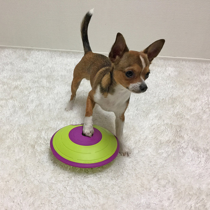Nina Ottosson Dog Treat Maze Interactive Treat Dog Puzzle Toy Level 2