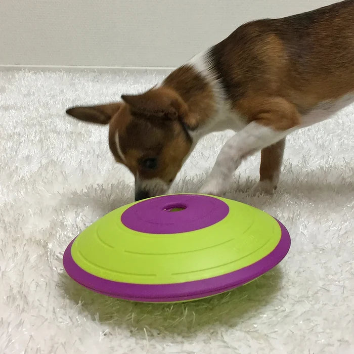 Nina Ottosson Dog Treat Maze Interactive Treat Dog Puzzle Toy Level 2