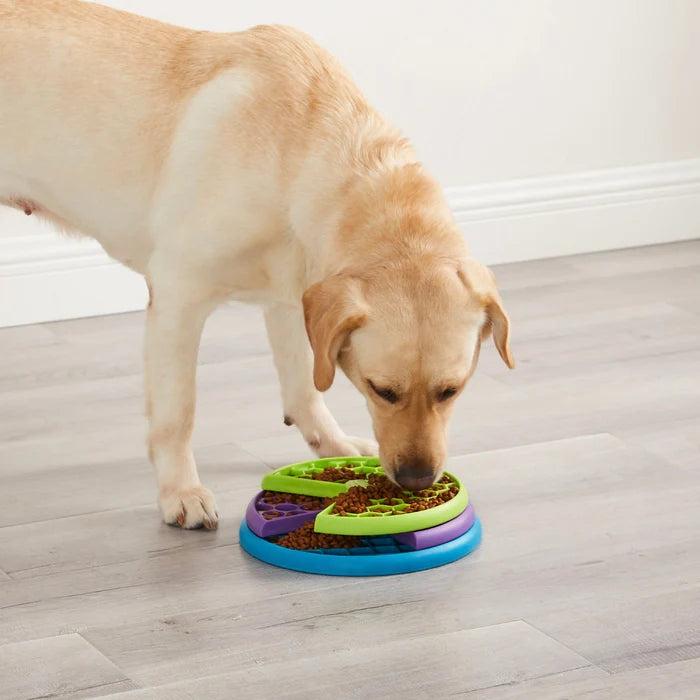 Nina Ottosson Lickin' Layers Interactive Treat Dog Puzzle Toy Multicolored Level 2