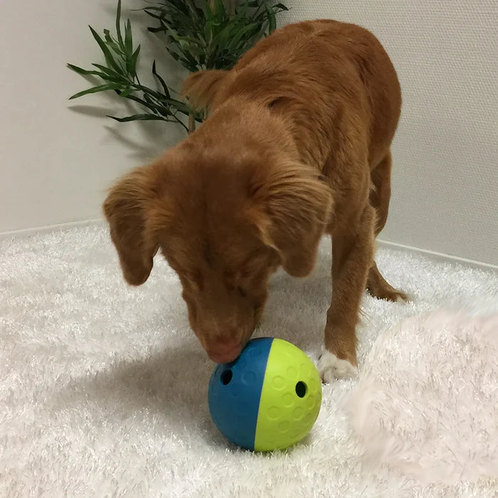 Nina Ottosson Treat Tumble Interactive Treat Dog Puzzle Toy Blue/Green Small Level 1