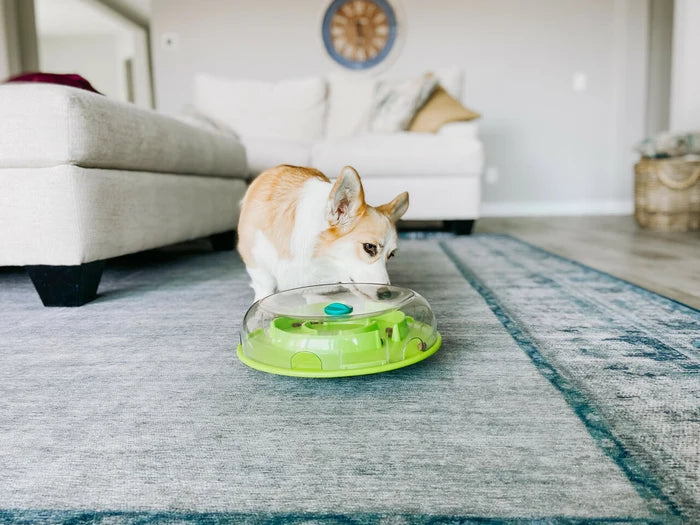 Nina Ottosson Wobble Slow Feeder Bowl Dog Game Blue/Green Level 1