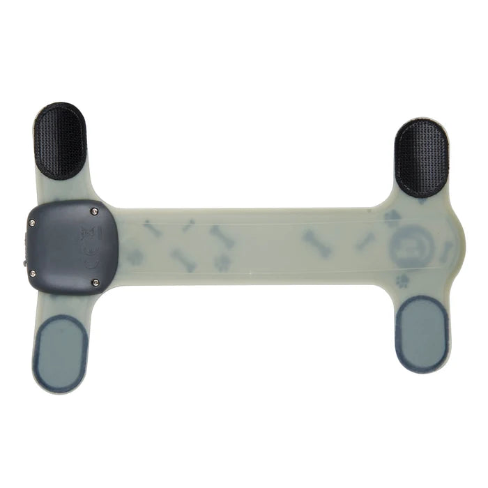 Nite Ize NiteDog® Rechargeable LED Collar Cover - Disc-O Select™