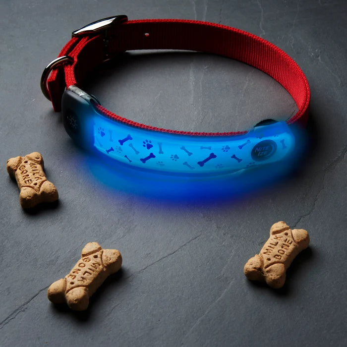 Nite Ize NiteDog® Rechargeable LED Collar Cover - Disc-O Select™
