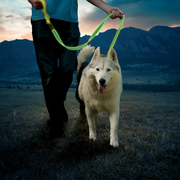 Nite Ize NiteDog Rechargeable LED Leash Lime Green LED