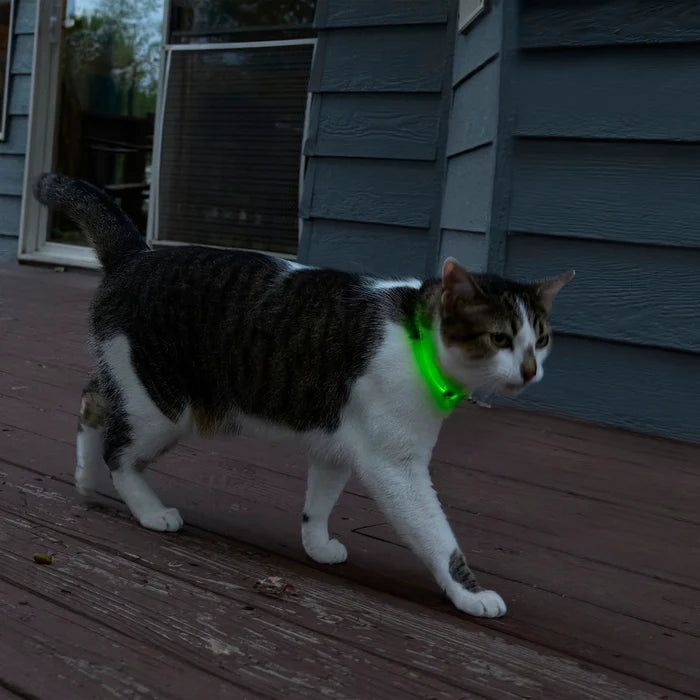 Nite Ize NiteMeow™ Rechargeable LED Safety Necklace - Disc-O Select™