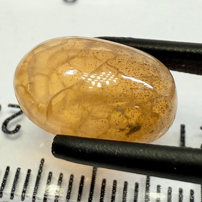 Opal, 4.51ct, Tanzania, Untreated Unheated