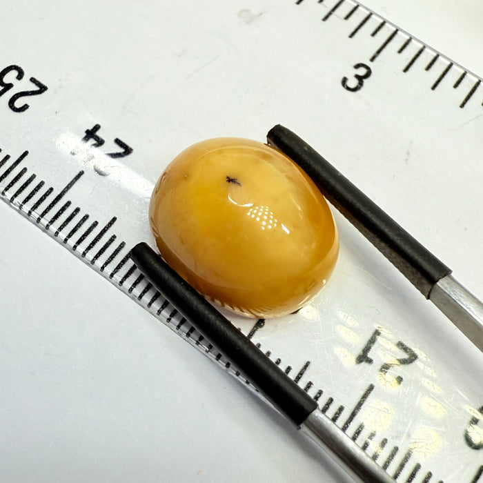 Opal, 9.68ct, Tanzania, Untreated Unheated