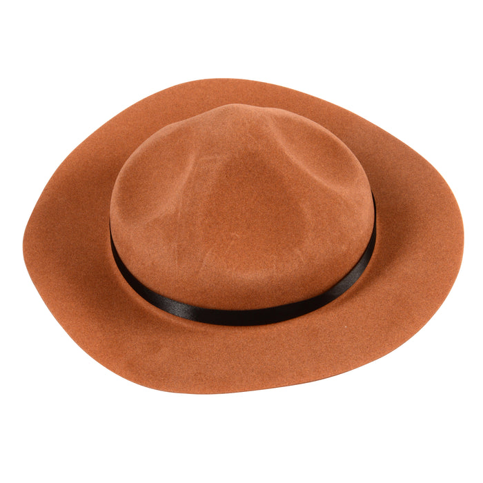 Park Ranger Costume with Bear
