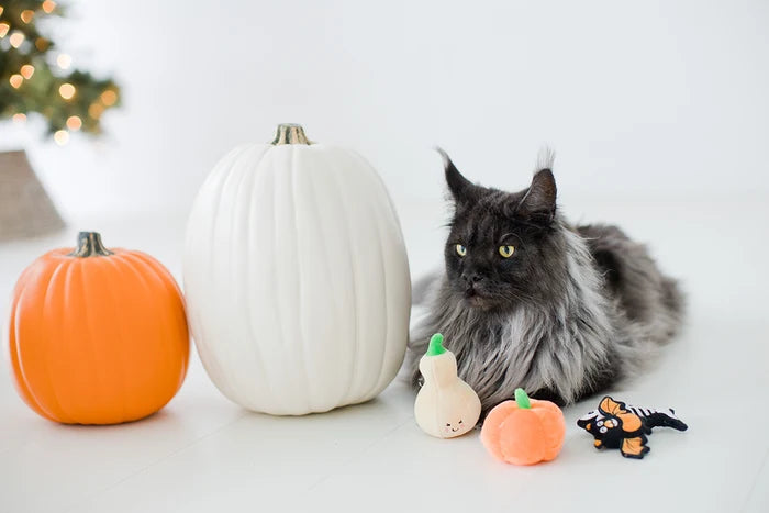 Pearhead Oh My Gourd Cat Toy Set