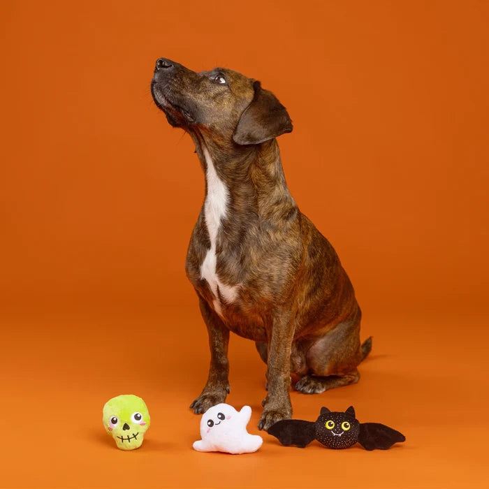 PetShop by Fringe Studio Boo Yah 3Pcs Small Dog Toy