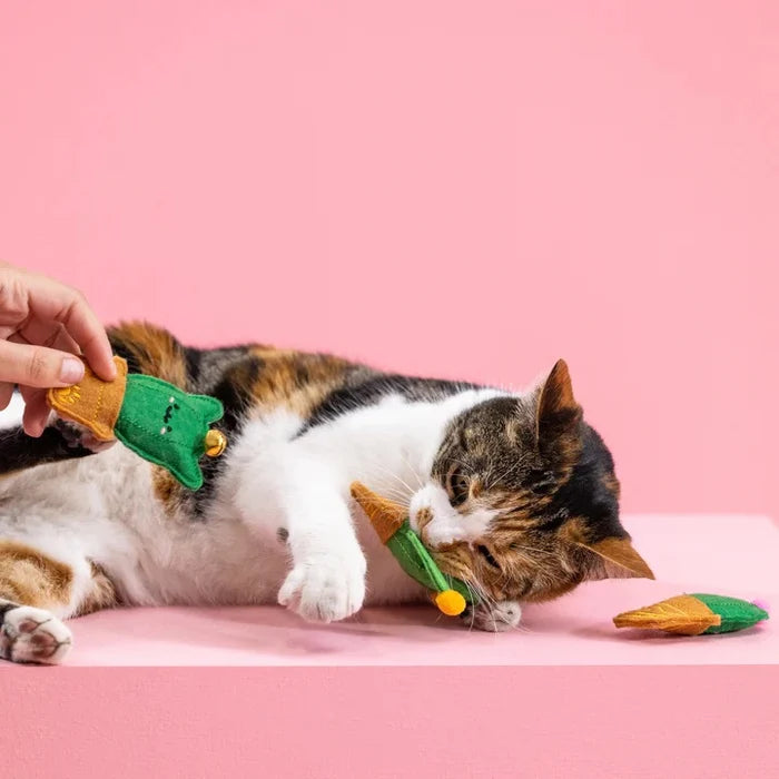 PetShop by Fringe Studio Cat-us Friends Cat Toys Set 3pc