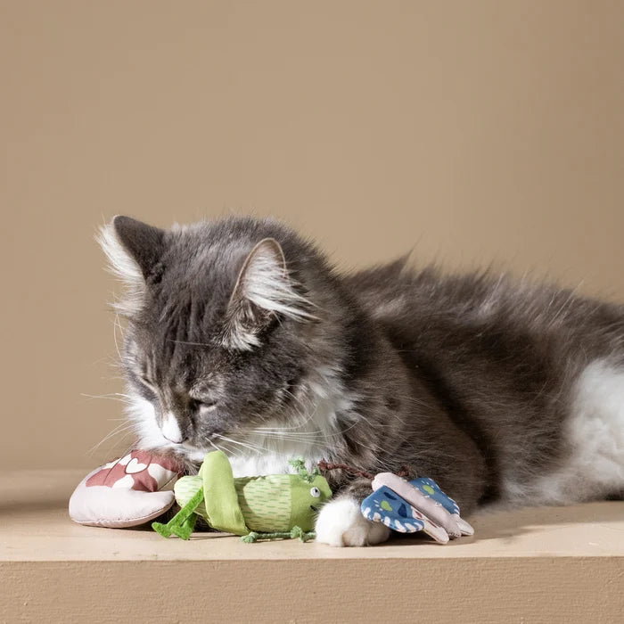 PetShop by Fringe Studio Catch Me If You Can Cat To Set 3pc