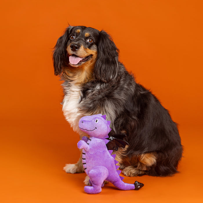 PetShop by Fringe Studio Dont Be A Drag On Plush Dog Toy