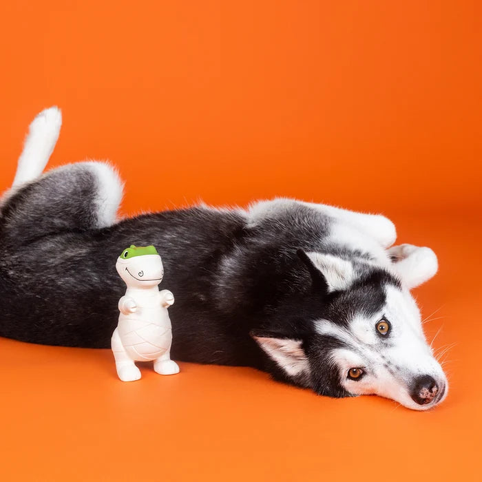 PetShop by Fringe Studio Here To Gauze Trouble Latex Dog Toy