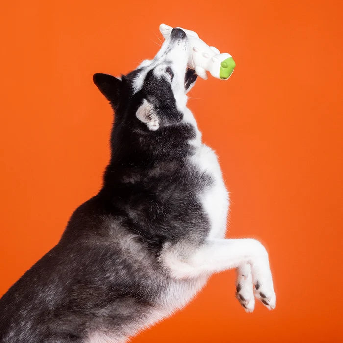 PetShop by Fringe Studio Here To Gauze Trouble Latex Dog Toy