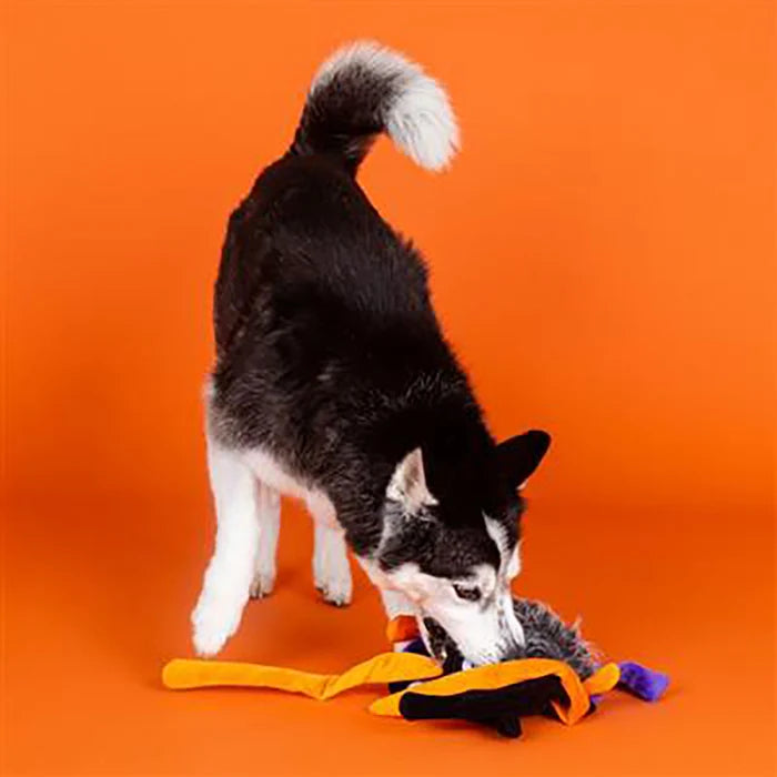 PetShop by Fringe Studio Trappin' Flies Plush Dog Toy Large