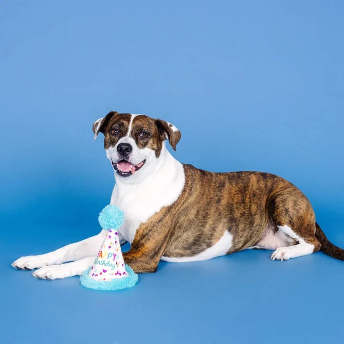 PetShop by Fringe Yappy Barkday Rubber/Plush Dog Toy