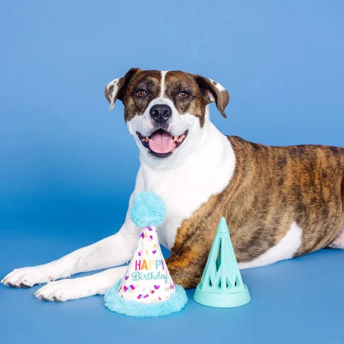 PetShop by Fringe Yappy Barkday Rubber/Plush Dog Toy